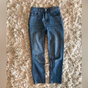 Everlane The Cheeky Jean in Classic Blue